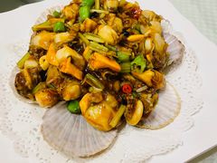 辣炒小扇贝-双井轩(双井店)