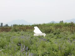 -北京东方普罗旺斯薰衣草庄园