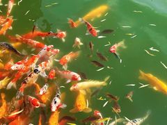 -泰安地下龙宫景区