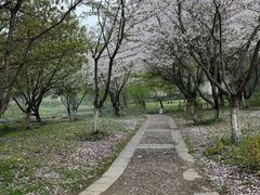 -采石矶景区