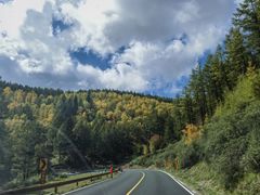 -塞罕坝国家级自然保护区