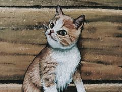 -槟城街头艺术街区