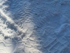 -绿野森林乐园冰雪季