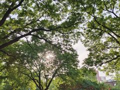 -元大都城垣遗址公园