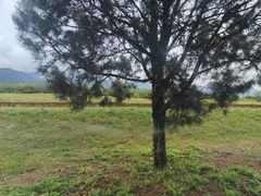 -秦始皇帝陵博物院-丽山园