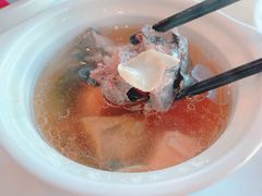 松茸乌鸡汤-梧桐餐厅(泉城路店)