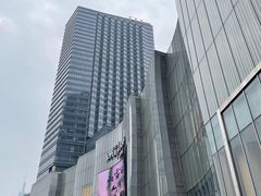 -金茂览秀城