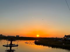 -上海海昌海洋公园