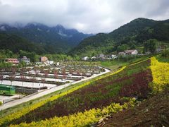 -王顺山国家森林公园