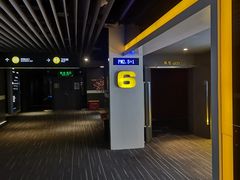 -奥斯卡升龙国际影城(RealD Cinema)