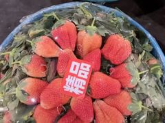 -海吉星市场