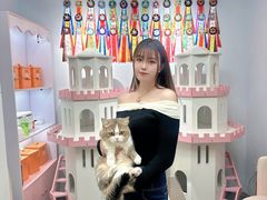 -青奢宠物·青奢猫舍