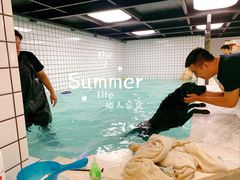 -柚子宠物(伊珊娜调理店)