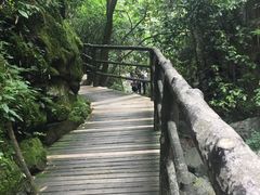-山沟沟景区