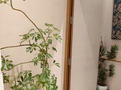 -OMSPA(盛景尚峰店)