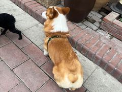 -小饕荟养生火锅(仁和·熙春郡店)