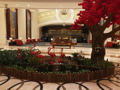 -常州武进九洲喜来登酒店