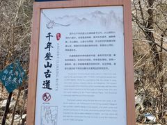 -北京鹫峰国家森林公园