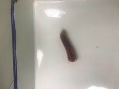 -美联众合动物医院(唯恩分院)