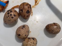 -深海聚汇·牛榴宴·自助料理(江宁万达店)