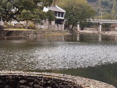 -鹿亭中村
