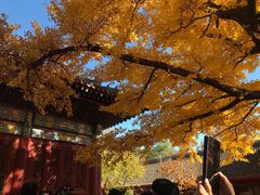 -红螺寺