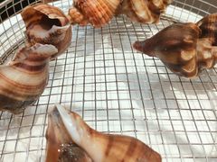 -海味当家·蒸锅海鲜(星海公园店)