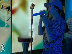 -温莎KTV(国贸店)