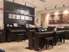 -雅歌音乐培训中心·钢琴培训·乐器培训(交道口店)