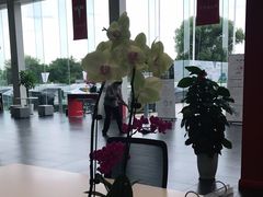 -TESLA 特斯拉(北京南四环中路特斯拉中心)