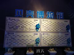 -贝壳梦幻世界