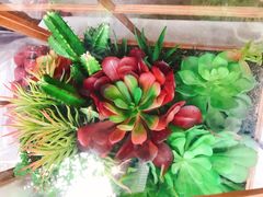 -Bamboo Saturday Market(Nana Jungle)