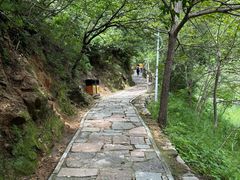 -大岭沟猕猴桃谷风景区