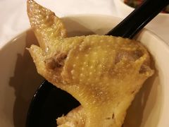 浓厚原只鸡煲花胶汤-鲜入围煮花胶鸡海鲜火锅