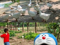 -前小桔亲子创意农场·草莓采摘·露营烧烤