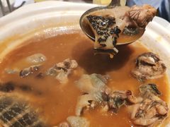红煨老甲鱼-徐记海鲜(大雁塔|金都店)