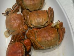 -大东海海鲜酒楼(渔人码头总店)