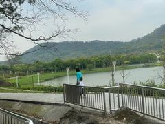 -风云岭森林公园