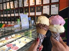 -Dooley's Premium Ice Cream