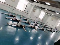 -西安小天鹅艺术团(金花路校区)