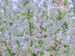 -上海辰山植物园