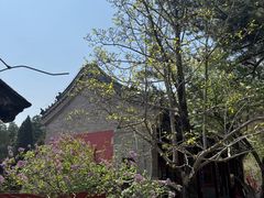 -潭柘寺景区