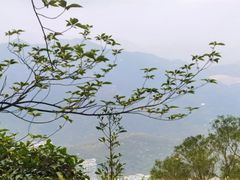 -梧桐山风景名胜区