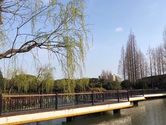 -黄兴公园