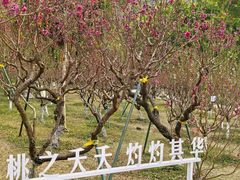 -桃花涧