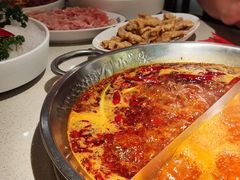 番茄鸳鸯-小龙坎火锅(春熙太古里店)