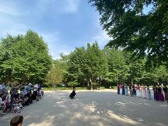 -玲珑塔公园