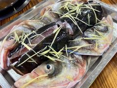 鱼头-肥婆麻辣火锅.顺德首创药材麻辣火锅(容桂店)