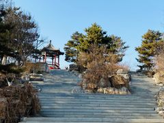 -大兴滨河森林公园