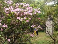 -中山大学学者灵芝(园南路店)